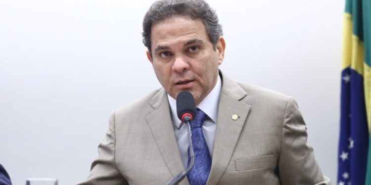 Projeto fixa percentual mínimo de polpa para produtos comercializados como açaí