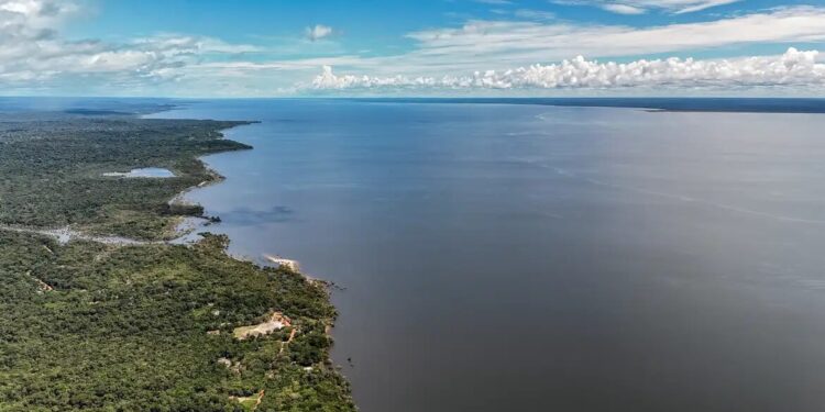 Veja os planos de governo de Flávio e Lula para meio ambiente e clima